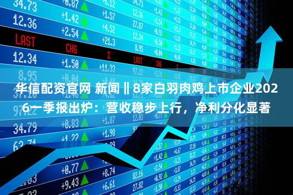 华信配资官网 新闻‖8家白羽肉鸡上市企业2026一季报出炉：营收稳步上行，净利分化显著
